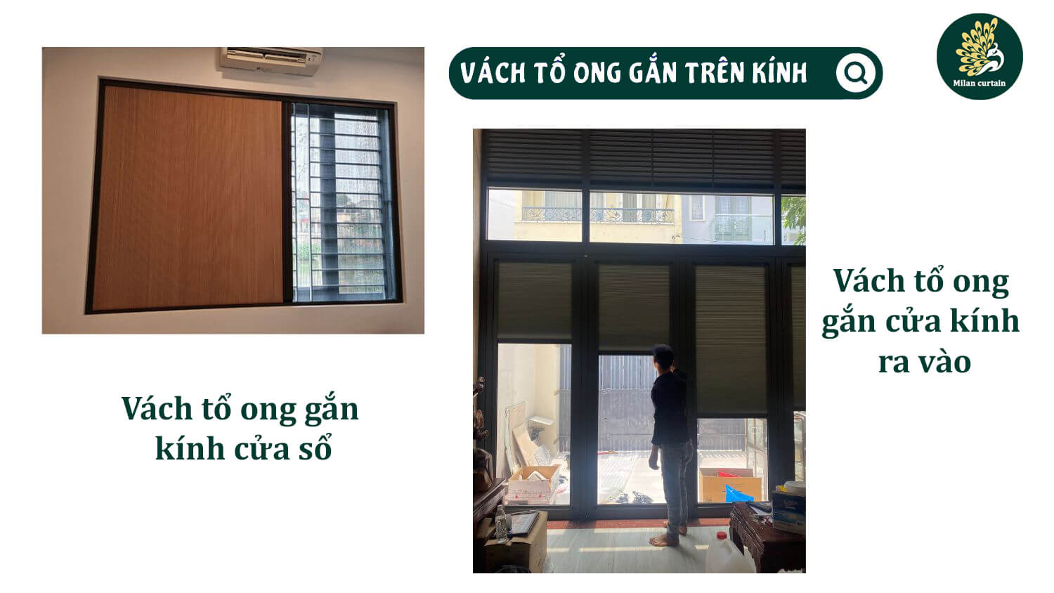rem-to-ong-cao-cap